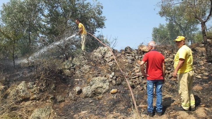 Burhaniyede Makilik Alanda Kan Yang N Zeytinliklere S Rad