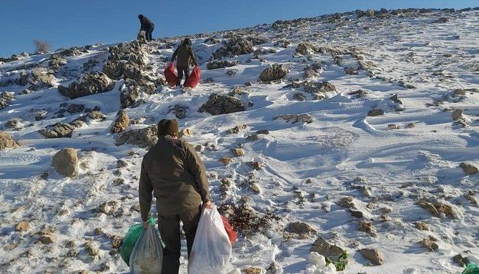 Yabani hayvanlar için Nemrut Dağına yem bırakıldı Adıyaman Haberleri