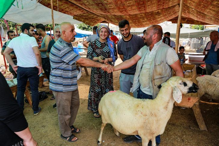 Adana Mersin Hatay ve Osmaniye de kurbanlık pazarlarında yoğunluk