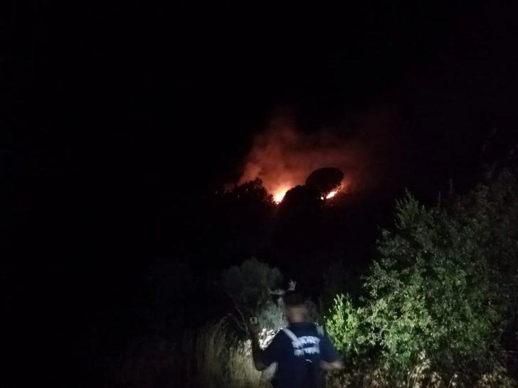 Hatay da ormanlık alanda çıkan yangın söndürüldü Adana Haberleri