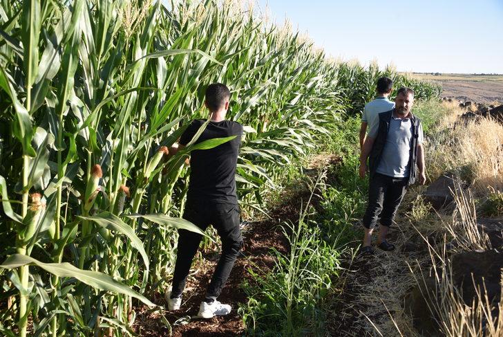 Şanlıurfa da kaybolan üniversite öğrencisinin cesedi bulundu