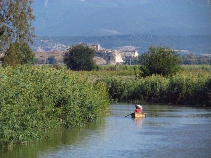 B Y K Menderes Nehrindeki Kirlilik Bal K L Mlerinin Ba L Ca Nedeni