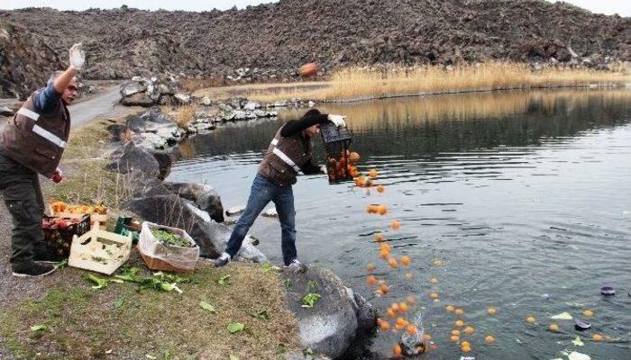 Iğdırda Yaban Hayvanları İçin Yemleme Çalışması Iğdır Haberleri