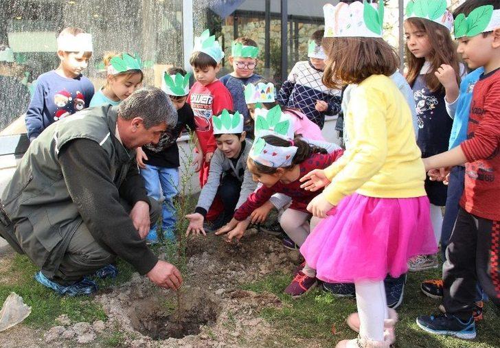 Minik Eller Fidan Dikti Muğla Haberleri