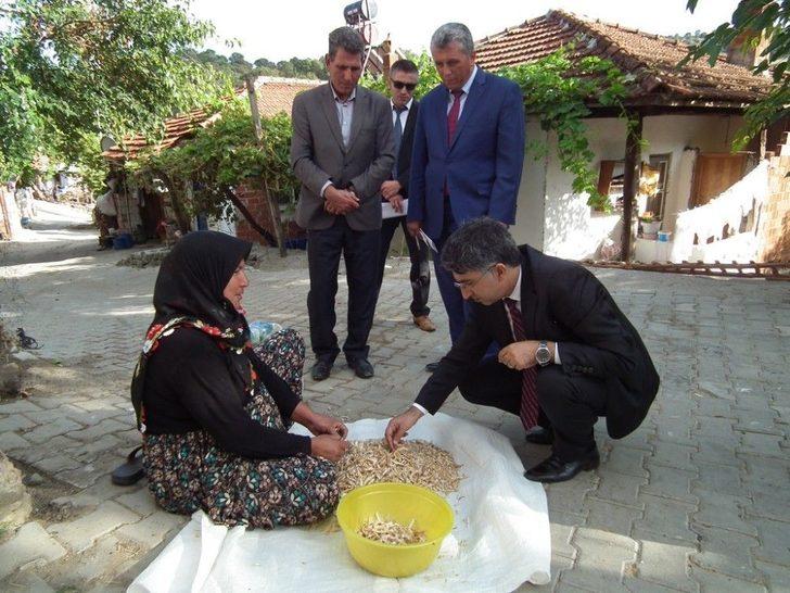 Havranda Bengi Projesi Kald Yerden Devam Ediyor