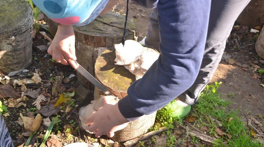 K&uuml;t&uuml;kte yetiştirdiği mantarları 15 liradan satıyor