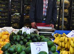  Avokadonun tanesi 10 liradan 3 liraya düştü