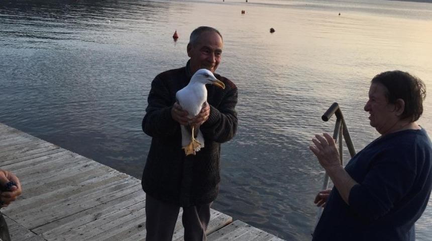 Ava giden martı avlandı