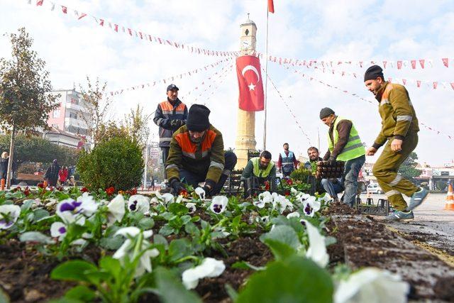 Çorum hercai menekşeler ile renklendi