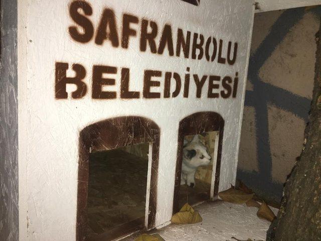 Safranbolu Belediyesi sokak hayvanlarına sahip çıkıyor