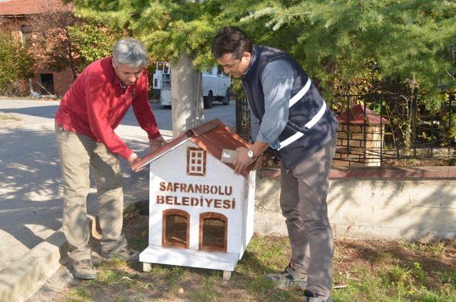 Safranbolu Belediyesi sokak hayvanlarına sahip çıkıyor