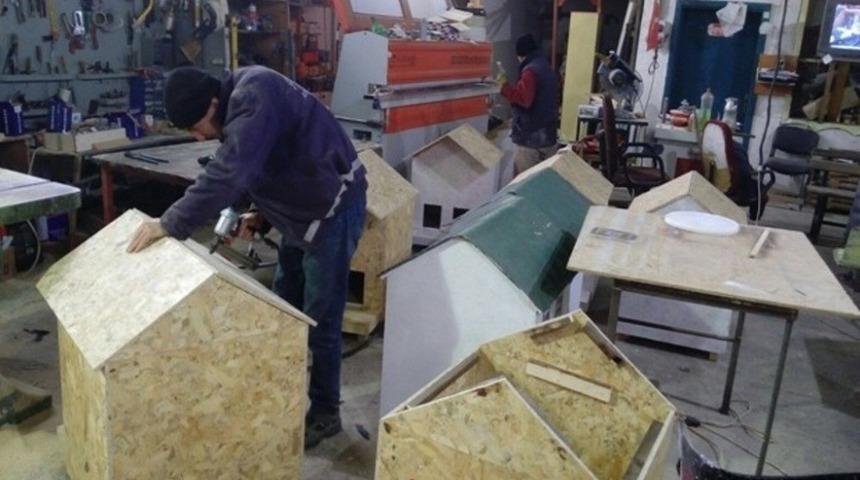 Safranbolu Belediyesi sokak hayvanlarına sahip &ccedil;ıkıyor