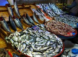 Balık fiyatları düştü, esnaf ve müşteri mutlu