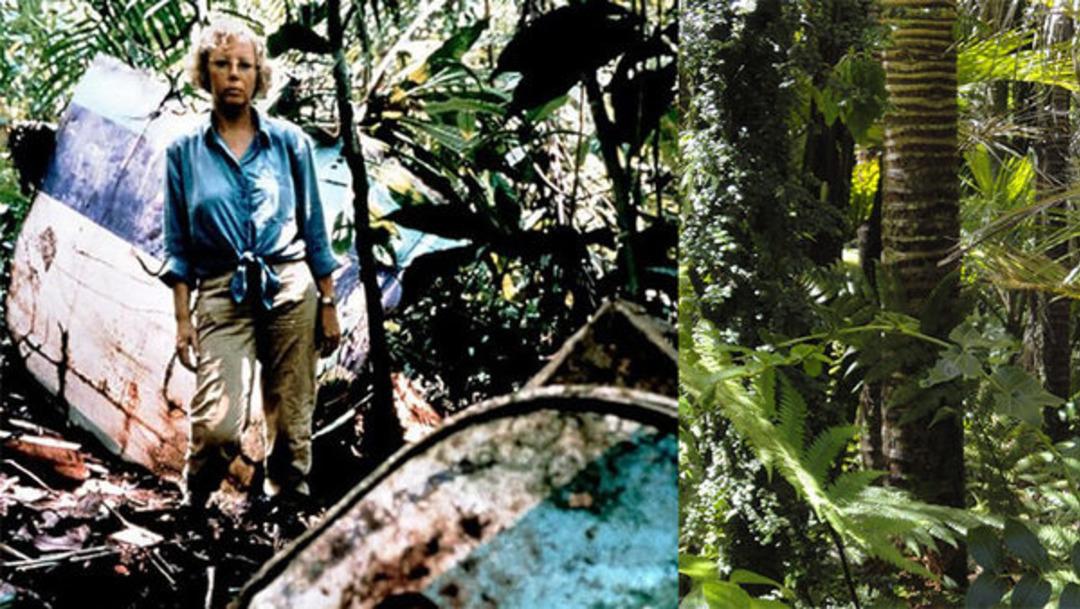 3 km'den yere &ccedil;akıldı, hayatta kalmayı başardı! Filmlere konu olan hikaye