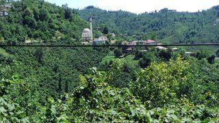 Ordu'nun Yazlık Mahallesi'nde yaşayan herkesin soyadı 'Sarı'