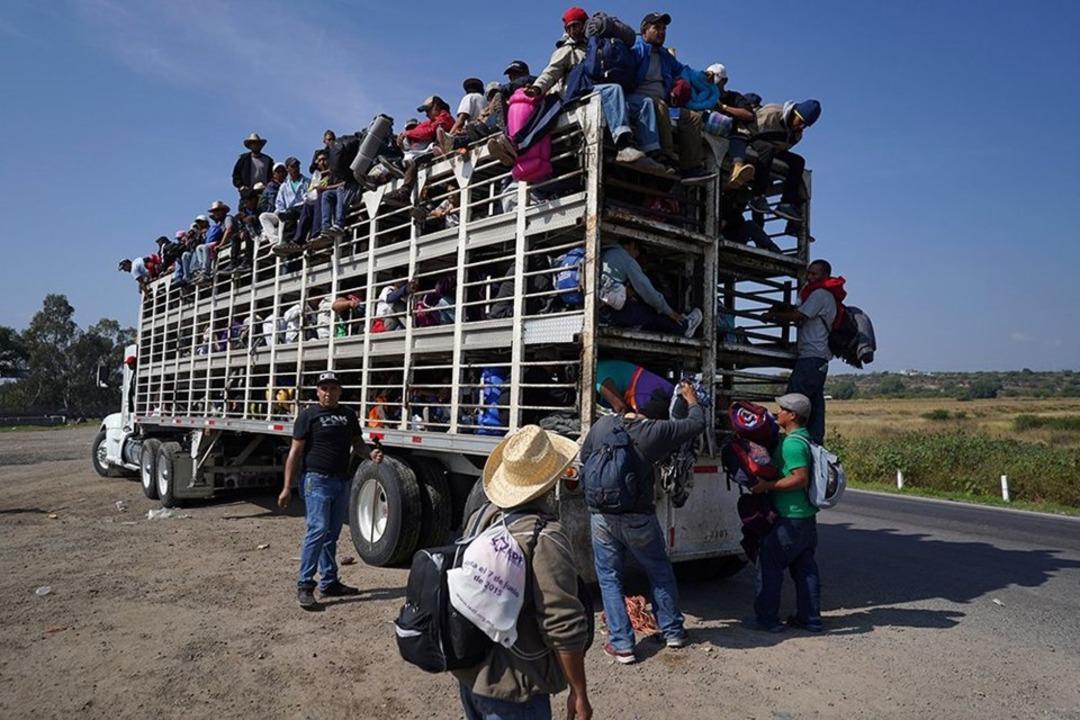 Hayvan kamyonlarında Amerika'ya yolculuk