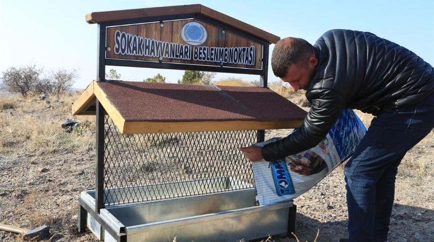 Nevşehir&rsquo;de sokak hayvanları a&ccedil; kalmıyor