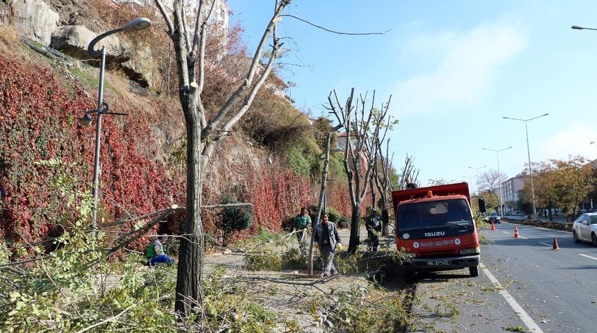 Yozgat&rsquo;ta ağa&ccedil;lar kışa hazırlanıyor