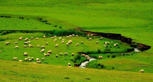 Perşembe Yaylası hayran bırakıyor