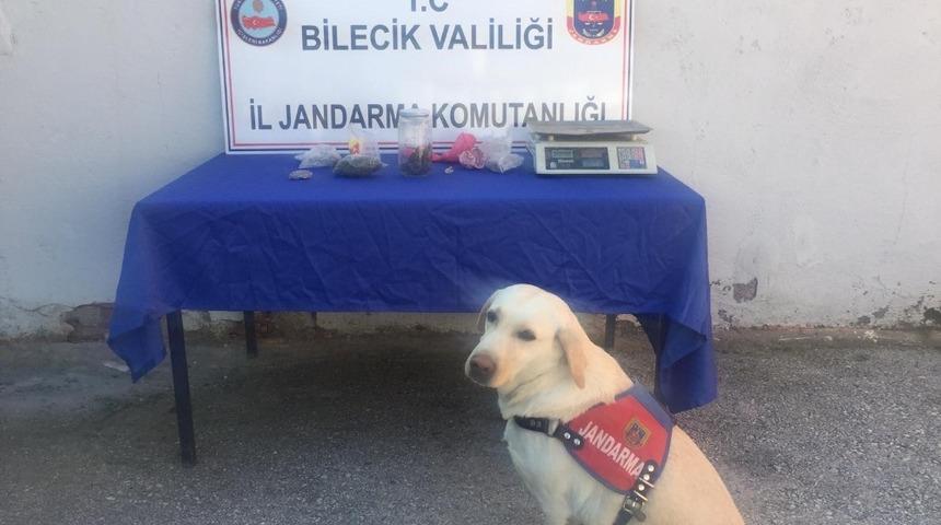 Bilecik&rsquo;te uyuşturucu operasyonu
