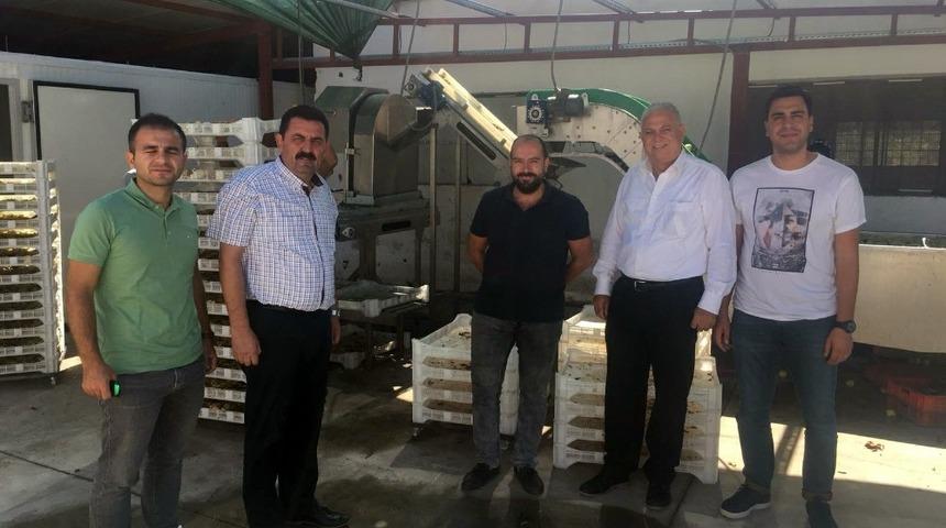 Yalova&rsquo;ya termal su ile gıda kurutma tesisi kurulacak