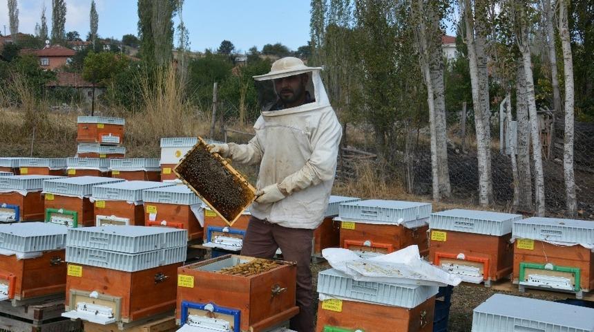 Arıcılara kovan başına 10 TL destek