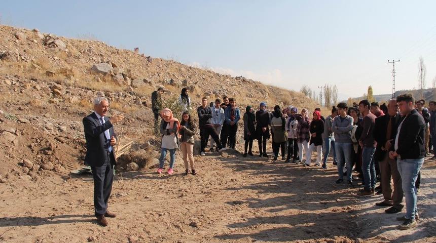 İncesu’da ağaçlandırma çalışmaları devam ediyor