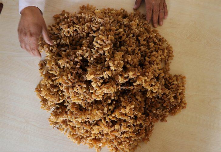   Cumhurbaşkanı Erdoğan, salebin ününü ikiye katladı! G3