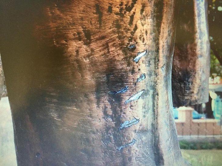 Çorlu'da bir kadın Atatürk Anıtı'na baltayla saldırdı! Her yerde aranıyor... G2