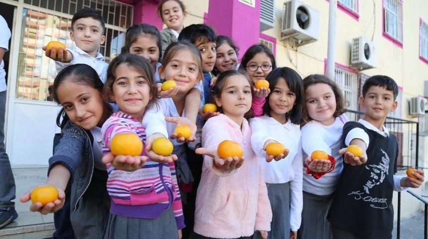 &Ouml;ğrenciler mandalina ile festivale davet edildi