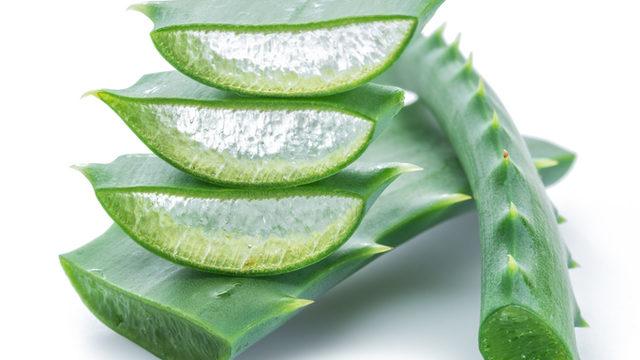 Aloe veranın faydaları nelerdir? Aloe vera nerede, nasıl kullanılır?  