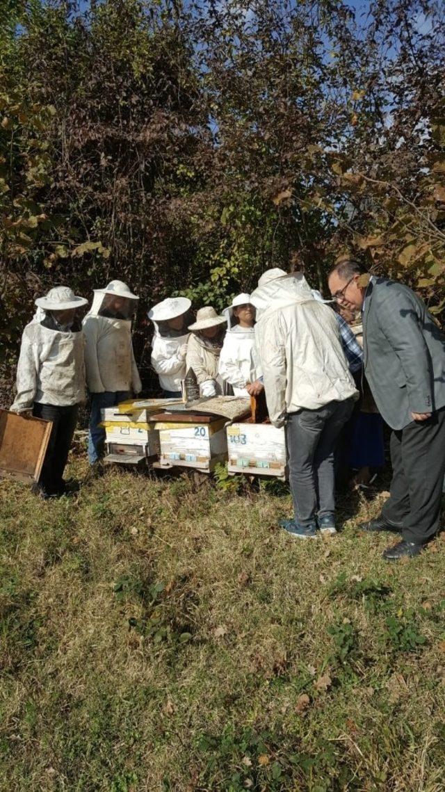 Çaycuma’da 14 kursiyer arıcılık kursunu tamamladı