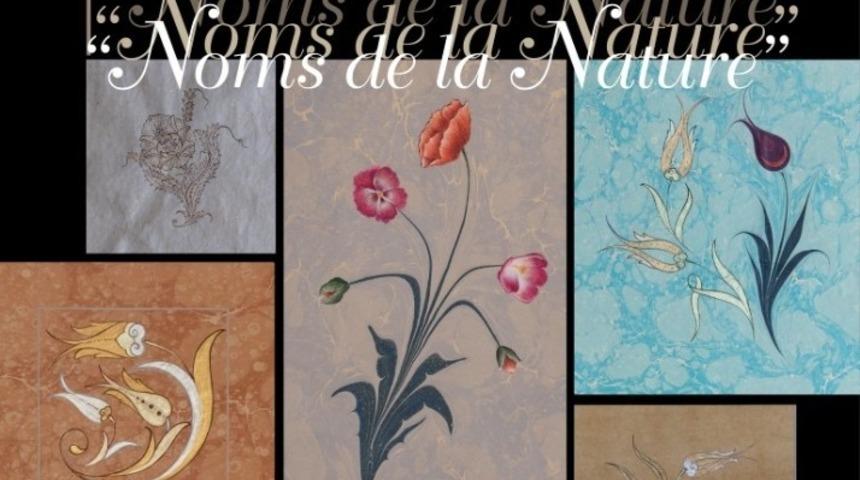 SA&Uuml;&rsquo;l&uuml; &ouml;ğretim &uuml;yesinin serleri Paris&rsquo;te sergilenecek