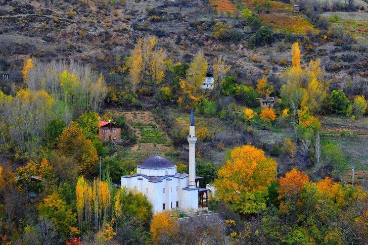 Sonbahar çalışması: özel bir çalışma yarat Sonbahar çalışması: özel bir çalışma yarat