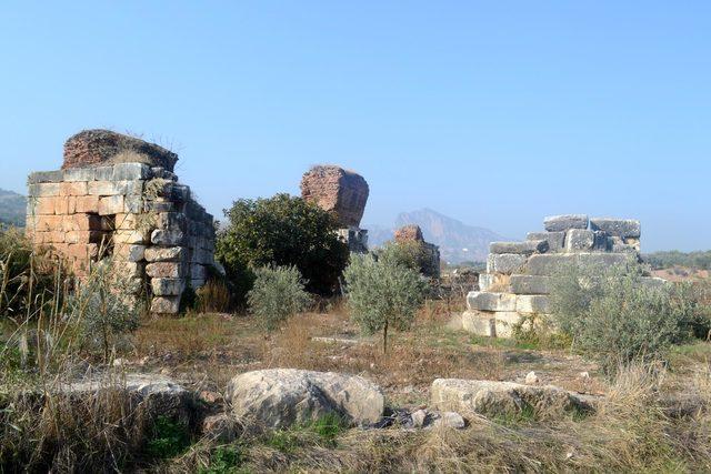 &Uuml;z&uuml;m bağları arasındaki 1800 yıllık bazilika keşfedilmeyi bekliyor 2