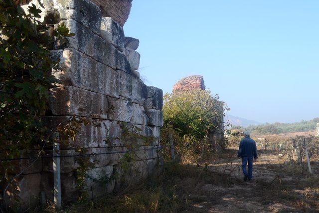 &Uuml;z&uuml;m bağları arasındaki 1800 yıllık bazilika keşfedilmeyi bekliyor 3