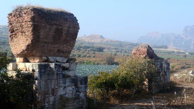 Üzüm bağları arasındaki 1800 yıllık bazilika keşfedilmeyi bekliyor