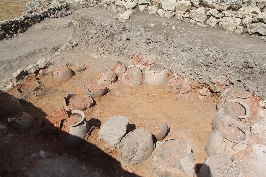 Heyecanlandıran keşif! Onlarcası bulundu