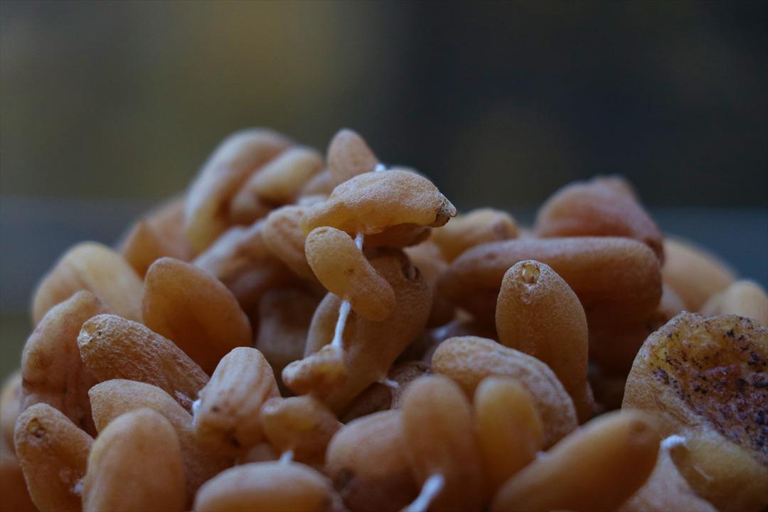   Cumhurbaşkanı Erdoğan, salebin &uuml;n&uuml;n&uuml; ikiye katladı!