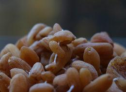   Cumhurbaşkanı Erdoğan, salebin ününü ikiye katladı!