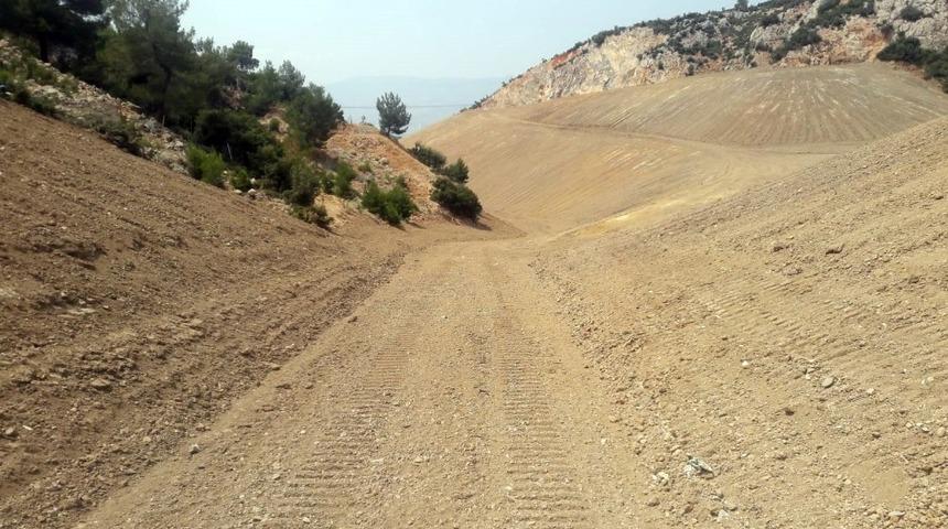 Taş ocağıydı, orman olacak