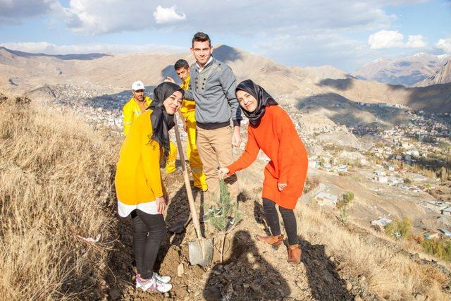 Hakkari Üniversitesi kampüsünde ağaçlandırma çalışması