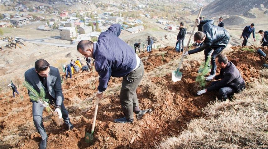 Hakkari &Uuml;niversitesi kamp&uuml;s&uuml;nde ağa&ccedil;landırma &ccedil;alışması