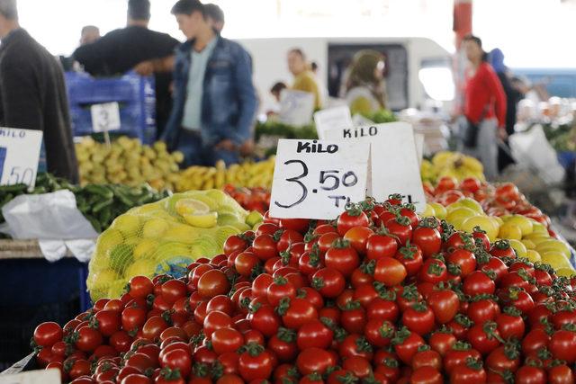 Domates üreticisini Kuzey Irak pazarı ayakta tuttu