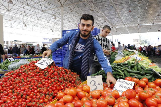 Domates üreticisini Kuzey Irak pazarı ayakta tuttu