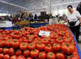 Domates üreticisini Kuzey Irak pazarı ayakta tuttu