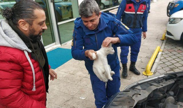 Polis aracının radyatörünün ön kısmında mahsur kalan kedi kurtarıldı