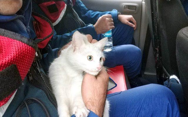 Polis aracının radyatörünün ön kısmında mahsur kalan kedi kurtarıldı