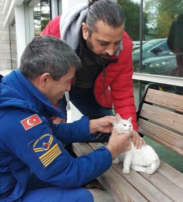 Polis aracının radyatörünün ön kısmında mahsur kalan kedi kurtarıldı