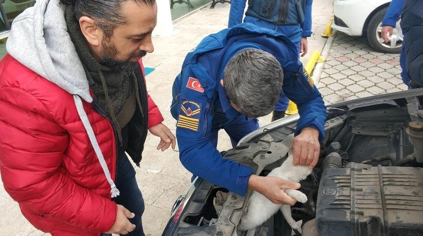 Polis aracının radyat&ouml;r&uuml;n&uuml;n &ouml;n kısmında mahsur kalan kedi kurtarıldı